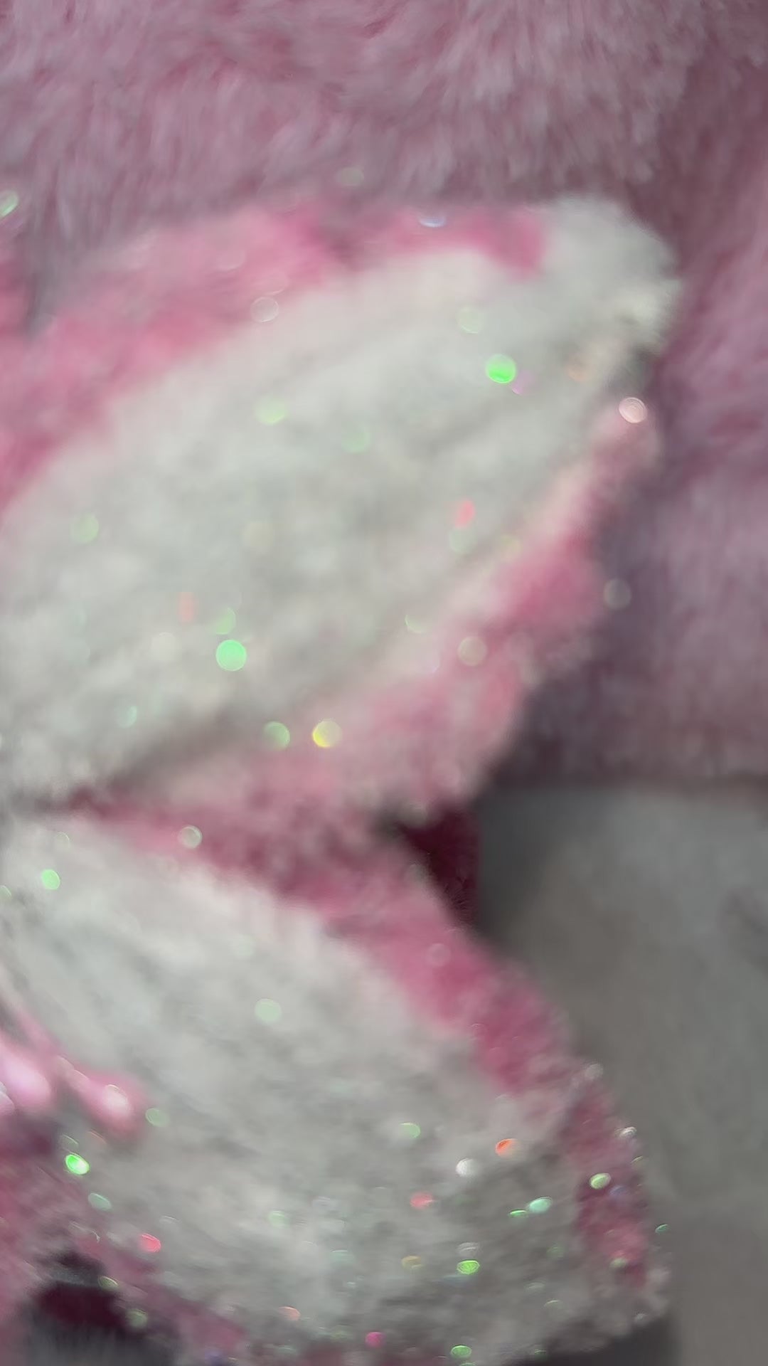 Cupids Curse Tiger Lily